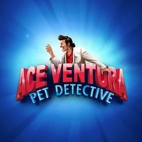 Ice Casino Ace Ventura India